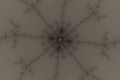 Mandelbrot fractal image whitefish