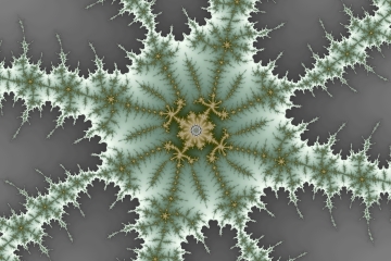 mandelbrot fractal image named winter berry