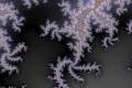Mandelbrot fractal image Wintertime