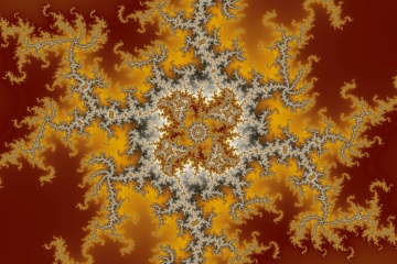mandelbrot fractal image named woody