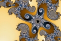 Mandelbrot fractal image x ivy